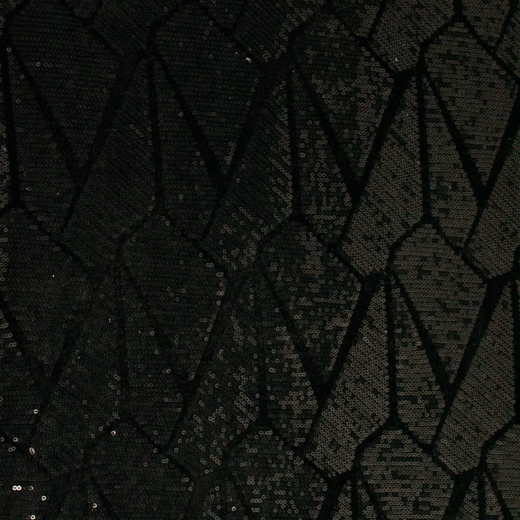 Avatar Sequin Velvet Knit